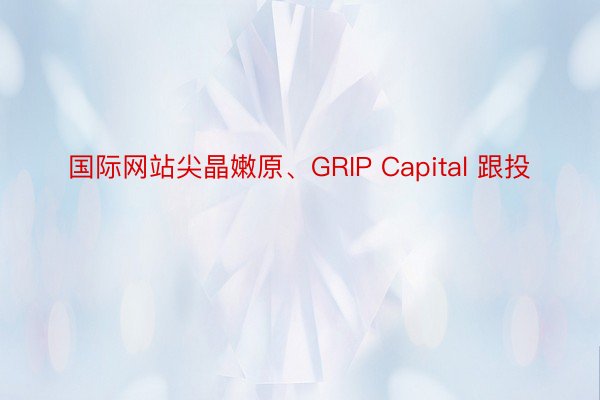 国际网站尖晶嫩原、GRIP Capital 跟投