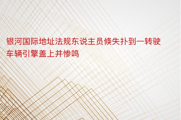 银河国际地址法规东说主员倏失扑到一转驶车辆引擎盖上并惨鸣